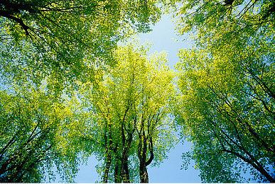 《使命召唤：战区》更新已修复“死亡之门”bug 削弱MG 82机枪